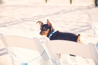Tom+LaurenWedding-0643